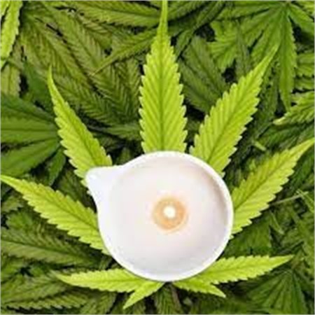 Candela massaggio bio hemp oil 100 ml in Cosmesi