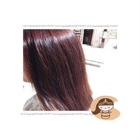 Tinta vegetale castagno  Indrani in Forniture per parrucchieri e barbieri